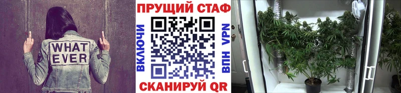 Гашиш Подпорожье