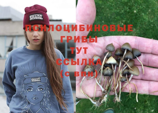трава Абаза