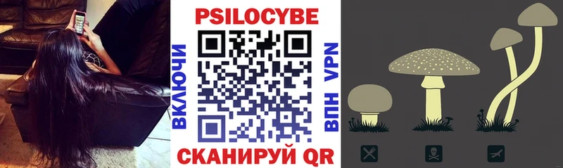Псилоцибиновые грибы мицелий  закладки  Подпорожье 